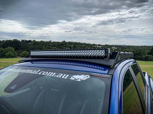 Scout Roof rack